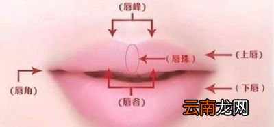 如何涂口红才能自然