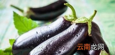 茄子为什么会变黑