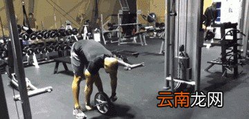 腹肌轮应该怎么练