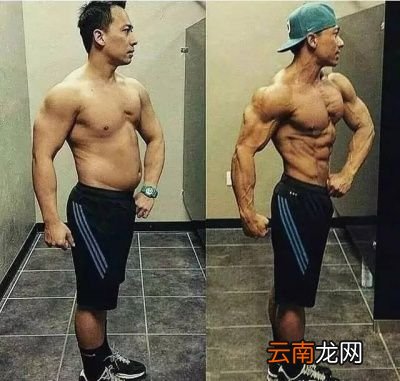 腹肌轮应该怎么练