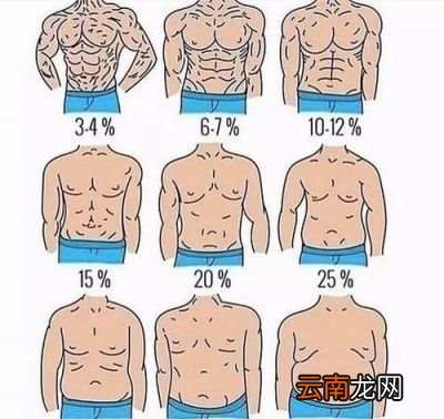 腹肌轮应该怎么练