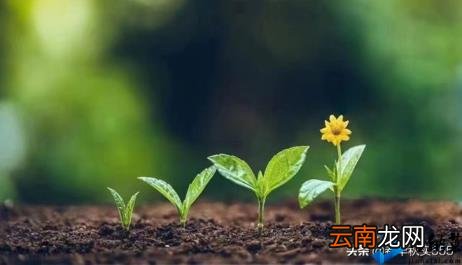 主管对员工评语简短 如何评价员工