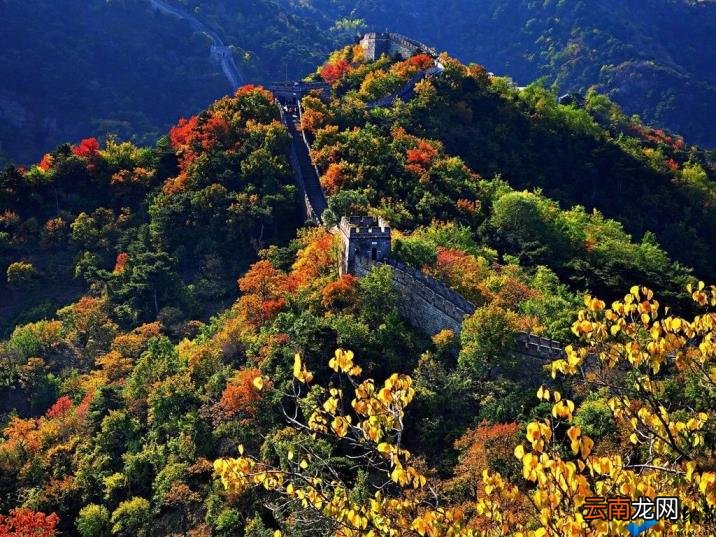 诗人们描写的四季美景 描写四季的诗句