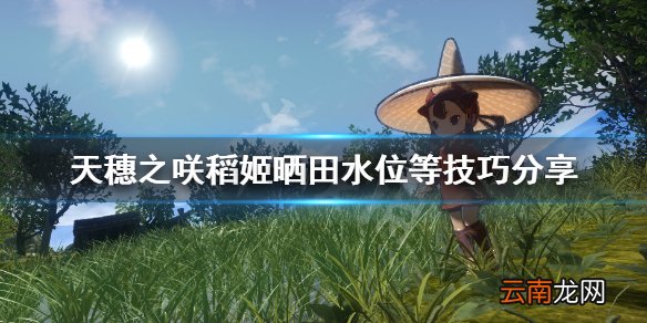 天穗之咲稻姬种田各方面要注意什么 晒田水位等技巧分享