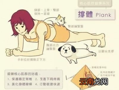 经常做平板支撑的好处