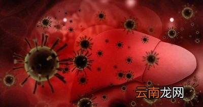 乙肝病毒会自行清除吗