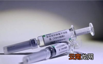 春节回家团聚的可能性有多大