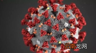 春节可以回家过年吗