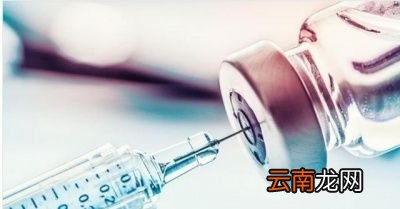 春节可以回家过年吗