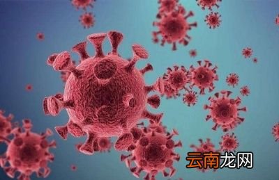 今年春节能回家团聚的可能大吗