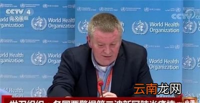 专家预测都表明了哪些信息呢