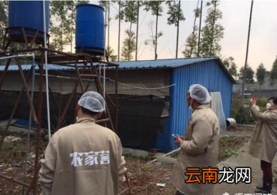 呼吸道疾病是怎样发生的如何防控和治疗