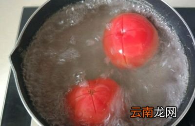 自制番茄酱的方法