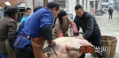 问题现杀的猪肉好吃还是冷鲜肉好吃