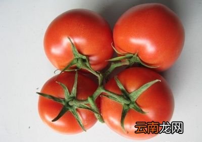 西红柿要怎么才能成为番茄酱呢