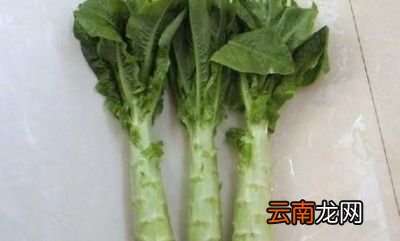凉拌莴苣丝具体做法