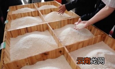 有了米虫怎么办