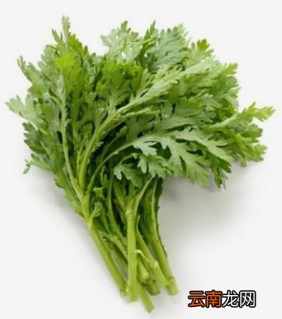 蒜蓉茼蒿的做法