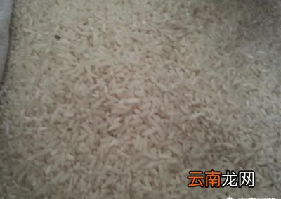 存放较久的大米出现米虫还能不能吃