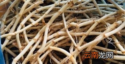 田间管理注意事项