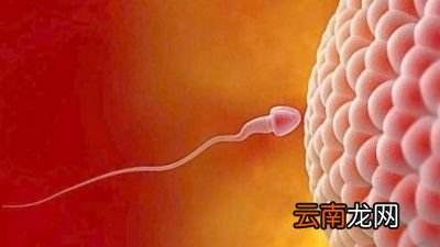 女性在排卵期有什么症状