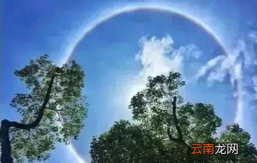 哪天入三伏2022 什么时候进入三伏天2022年