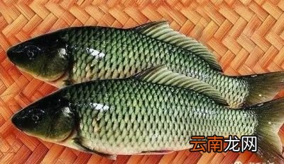 剁椒鱼头的做法步骤
