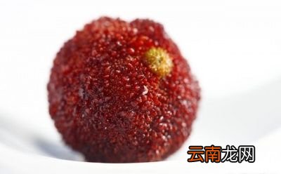 杨梅里的白色小虫是什么