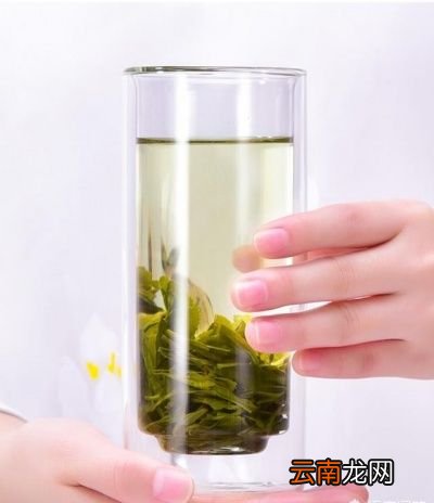 早上喝什么茶好
