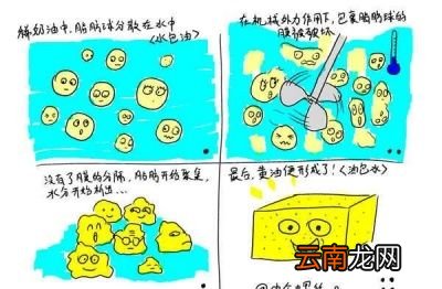 奶酪黄油区别二——名字