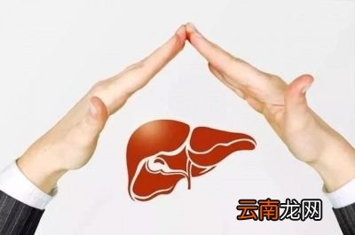 养肝的方法很多最好的就是运动法