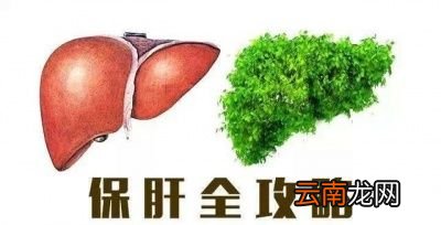 养肝最好的方式有哪些