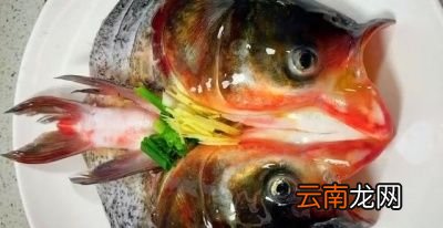 剁椒鱼头用什么鱼的头比较合适