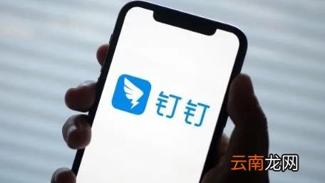 钉钉打卡家里打位置在哪里能看到 钉钉打卡怎么改定位