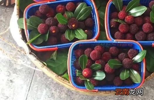 杨梅没泡盐水吃了会有事吗 杨梅没用盐水泡就吃了怎么办