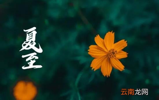 什么节气是入伏第一天 入伏是从哪个节气开始