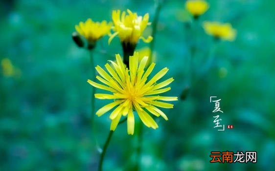 什么节气是入伏第一天 入伏是从哪个节气开始