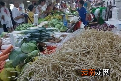 怎样种植鱼腥草呢
