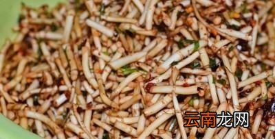 怎样种植鱼腥草呢