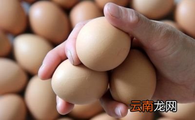怎样鉴别土鸡蛋