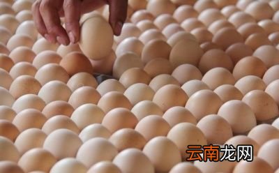 怎样鉴别土鸡蛋