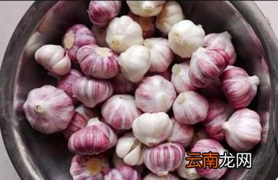 糖蒜的腌制方法
