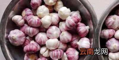 大蒜头怎么腌菜