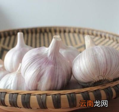 大蒜头怎么腌菜