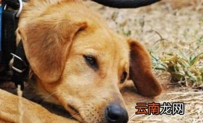 今年的二月有九吗