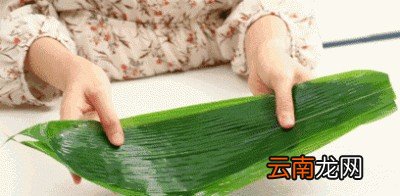 为什么煮好的粽子放冰箱会“反生”