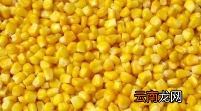 玉米仁为什么能起到减肥的辅助减肥的效果