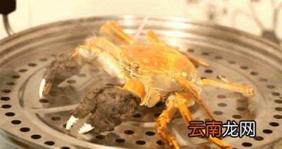 大闸蟹会导致流产吗