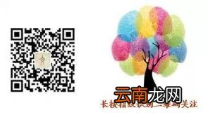 一个差评,三条人命!谁最可恶?