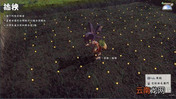 天穗之咲稻姬香的米怎么种 天穗之咲稻姬香的米种法分享